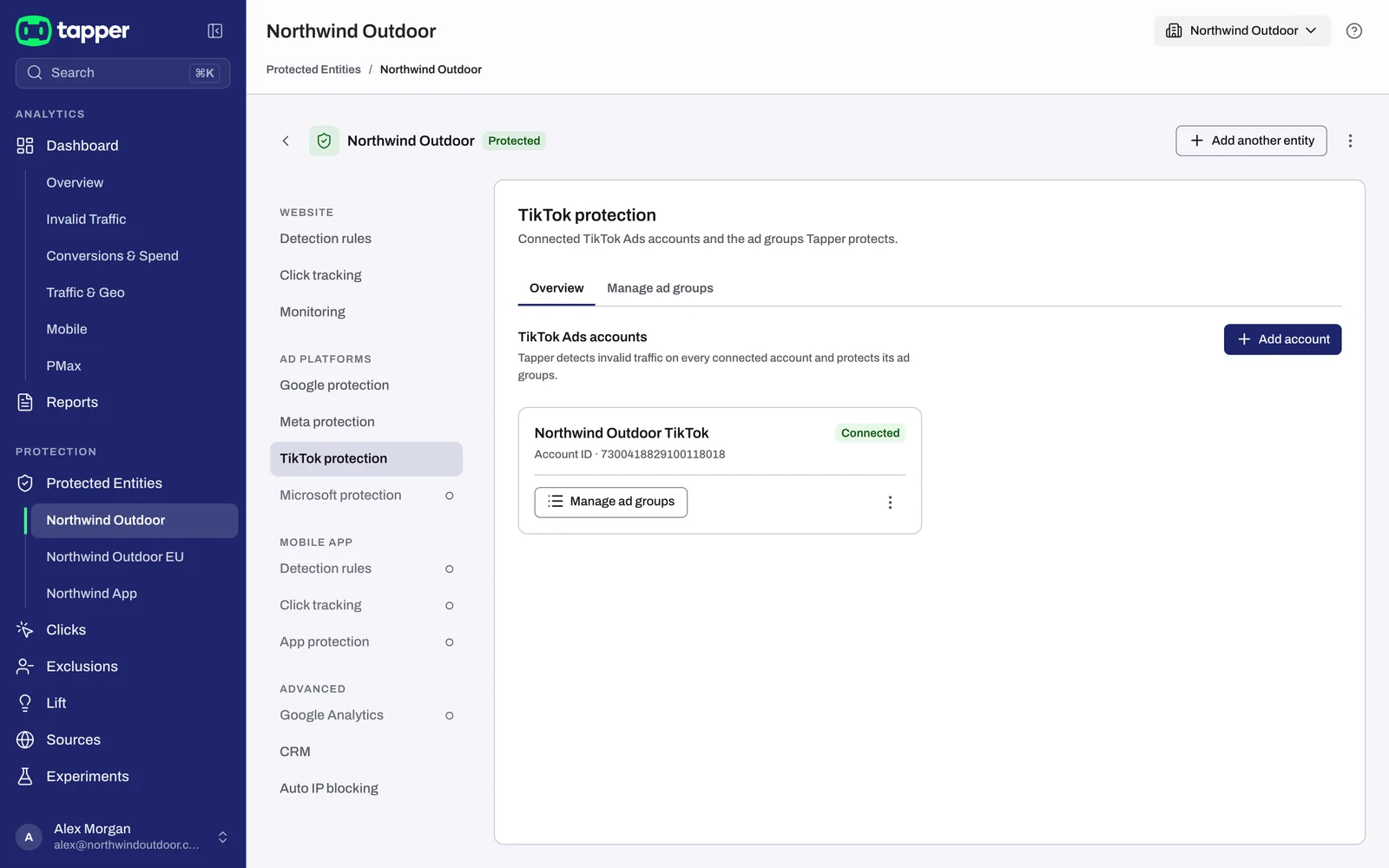 The Overview sub-tab of the TikTok protection tab with a connected TikTok Ads account card