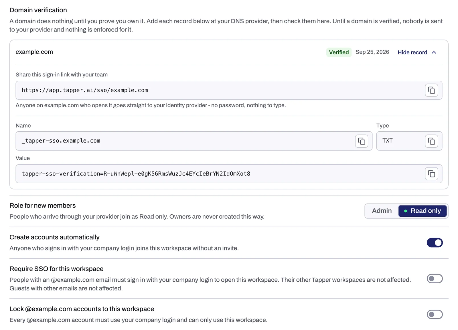 Domain verification with a Verified domain, its sign-in link and TXT record, and the three switches below it